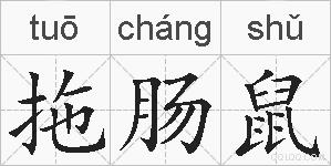 拖肠鼠的拼音