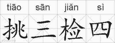 挑三检四的拼音
