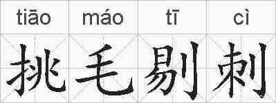 挑毛剔刺的拼音