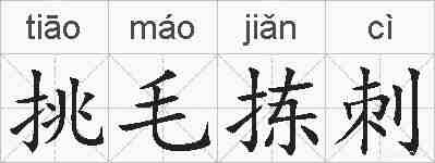 挑毛拣刺的拼音