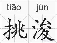 挑浚的拼音