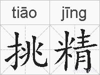 挑精的拼音