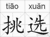 挑选的拼音