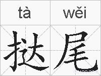 挞尾的拼音