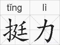 挺力的拼音