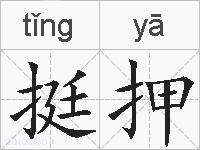 挺押的拼音