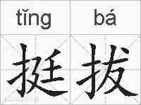 挺拔的拼音
