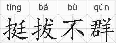 挺拔不群的拼音