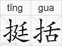挺括的拼音