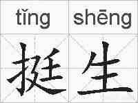 挺生的拼音
