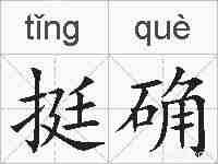 挺确的拼音