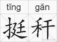挺秆的拼音