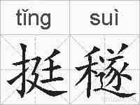 挺穟的拼音