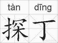 探丁的拼音