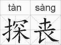 探丧的拼音