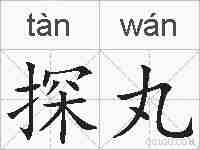 探丸的拼音