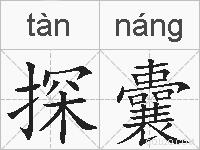 探囊的拼音