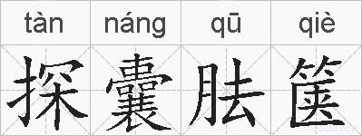 探囊胠箧的拼音