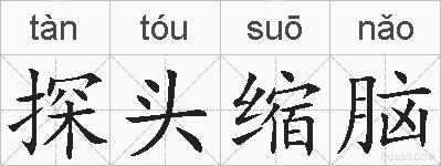 探头缩脑的拼音