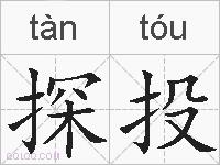 探投的拼音