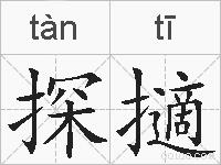 探擿的拼音