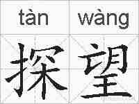 探望的拼音