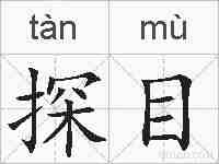 探目的拼音