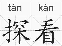探看的拼音