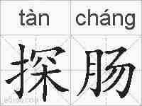 探肠的拼音
