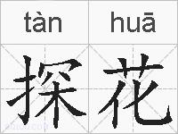探花的拼音