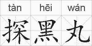 探黑丸的拼音