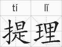 提理的拼音