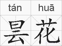 昙花的拼音