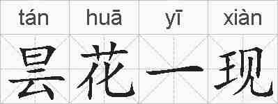 昙花一现的拼音