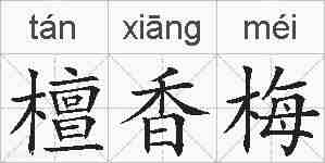 檀香梅的拼音