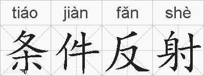 条件反射的拼音