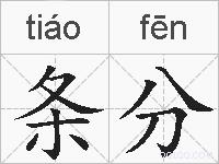 条分的拼音