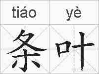 条叶的拼音
