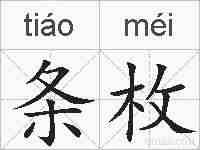 条枚的拼音