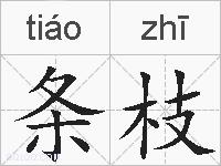 条枝的拼音