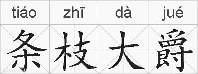 条枝大爵的拼音