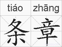 条章的拼音