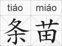 条苗的拼音