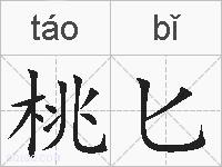桃匕的拼音