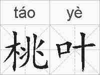 桃叶的拼音