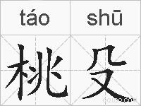 桃殳的拼音