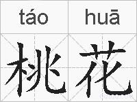 桃花的拼音