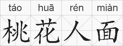 桃花人面的拼音