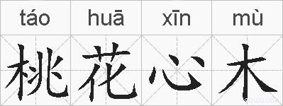 桃花心木的拼音