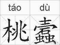 桃蠧的拼音
